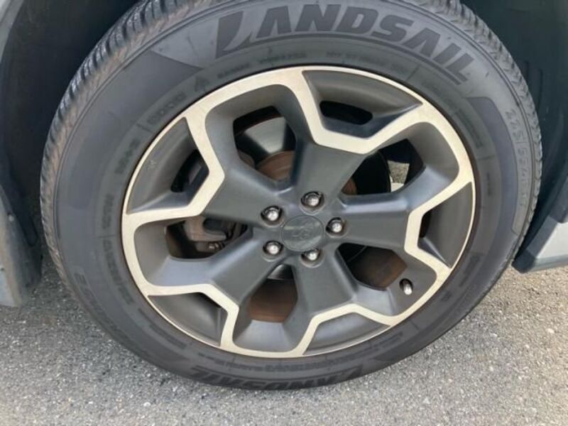 XV