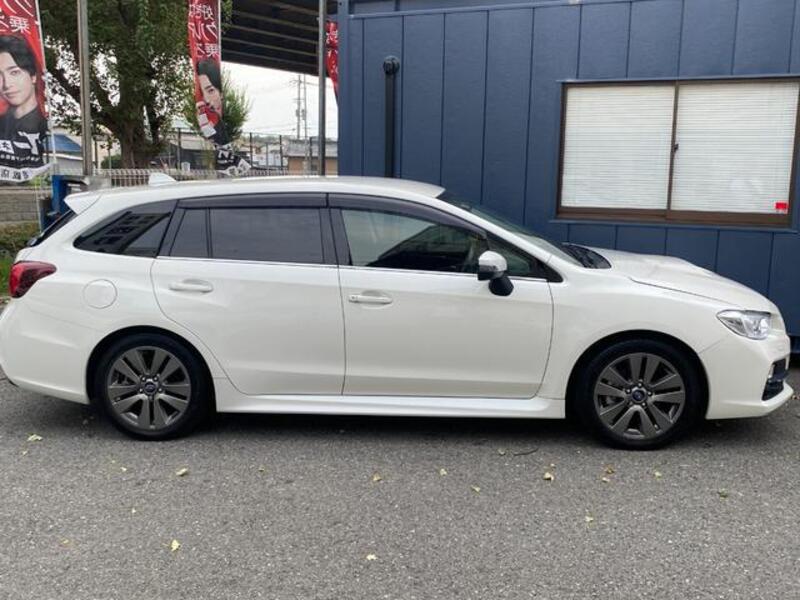 LEVORG