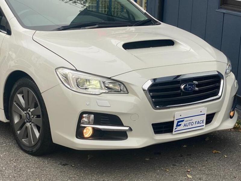 LEVORG