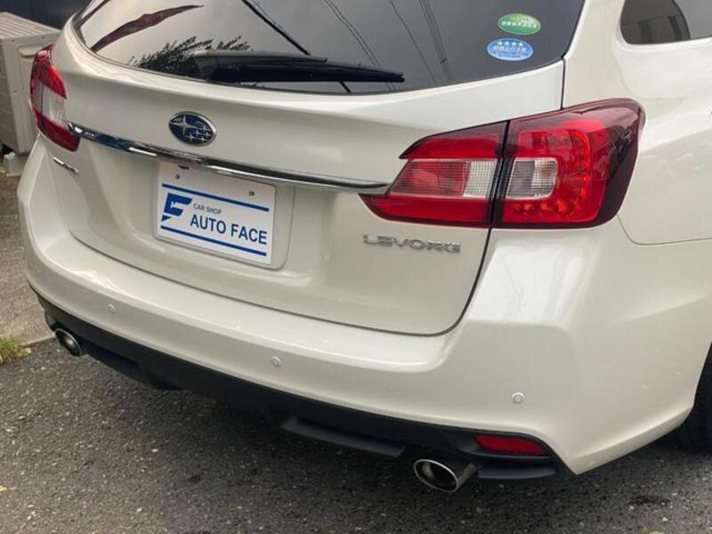 LEVORG