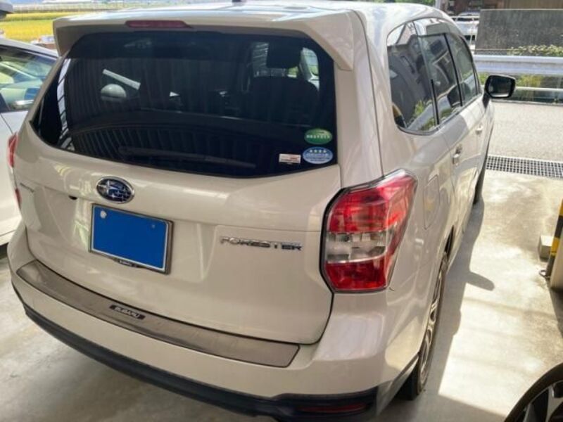 FORESTER