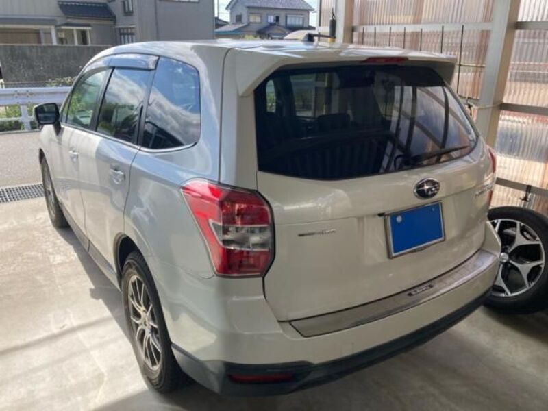 FORESTER