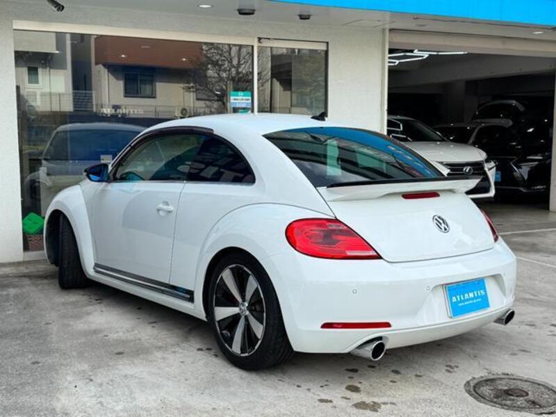 THE BEETLE