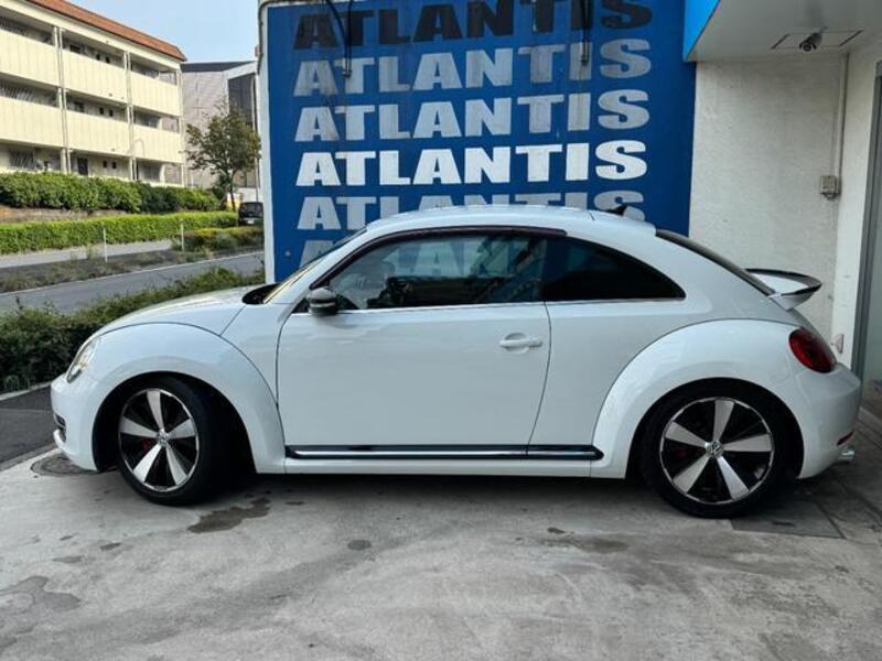 THE BEETLE