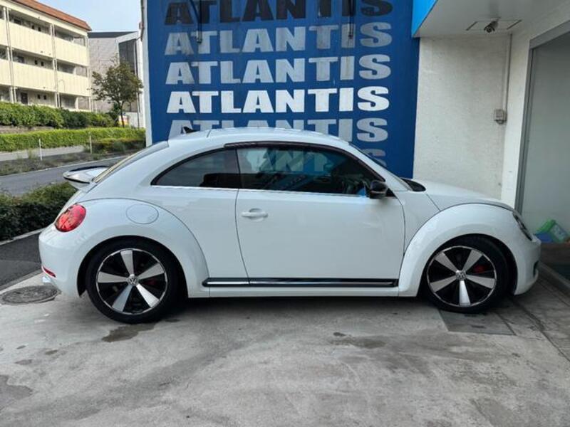 THE BEETLE