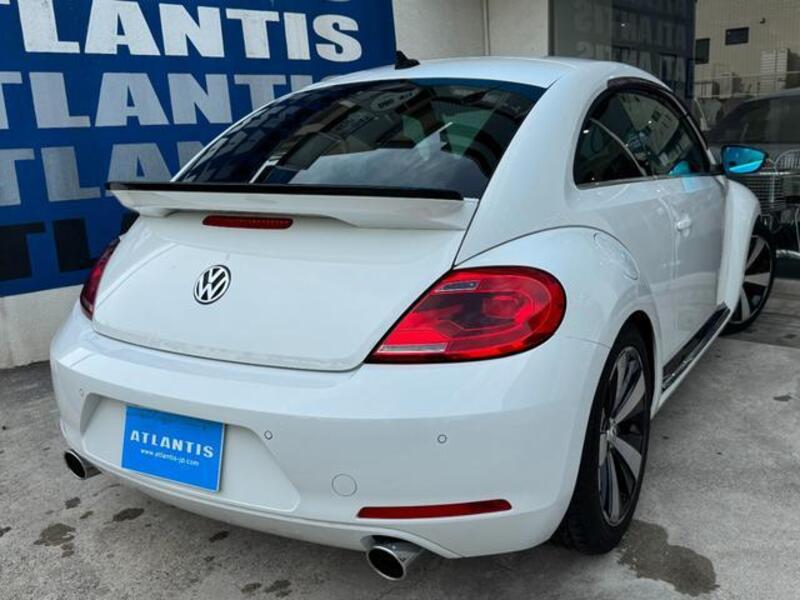THE BEETLE