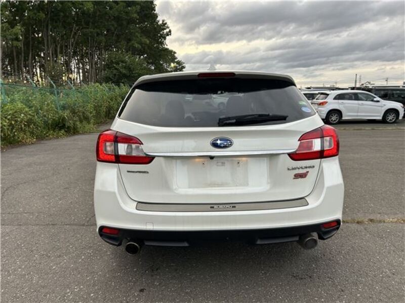 LEVORG