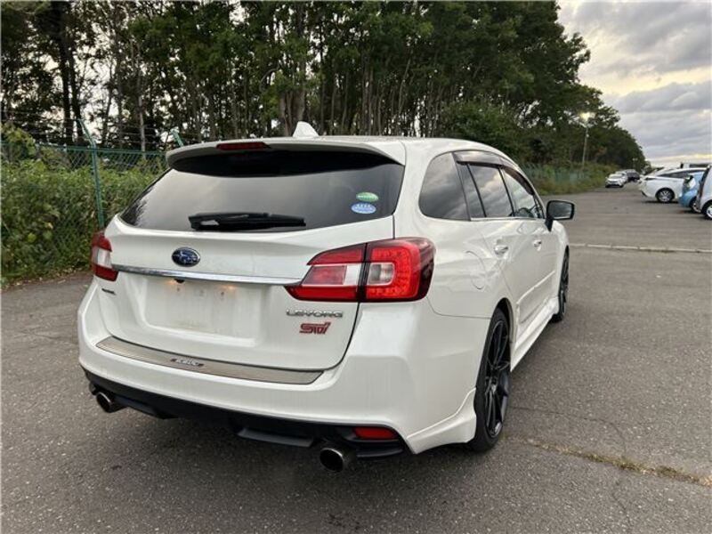 LEVORG