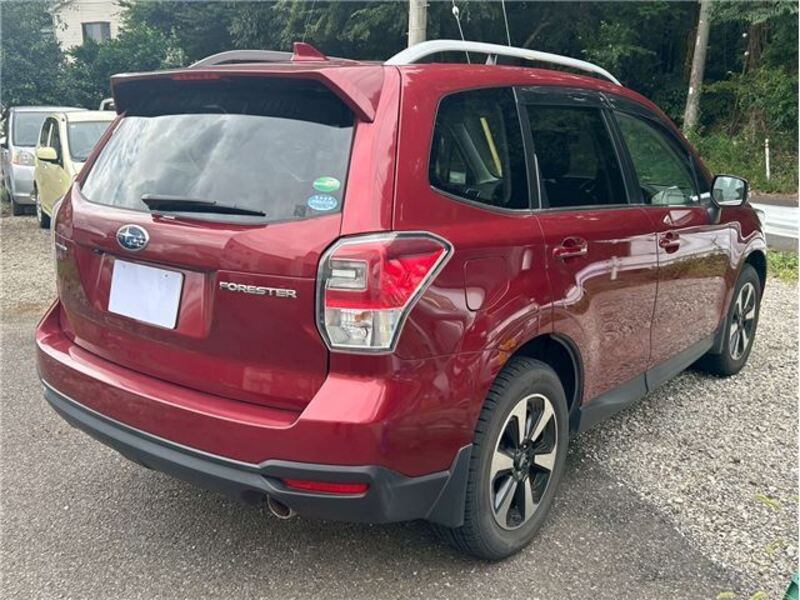FORESTER