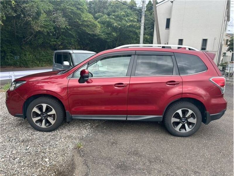 FORESTER