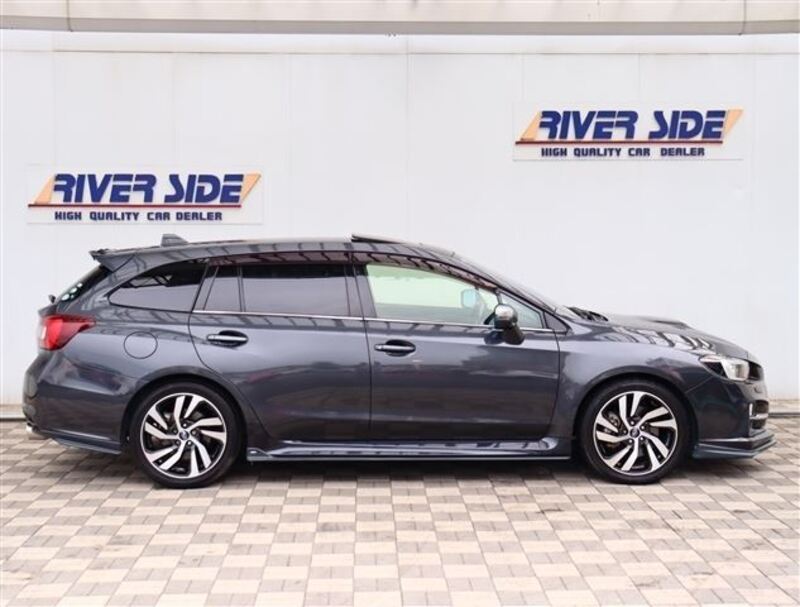 LEVORG