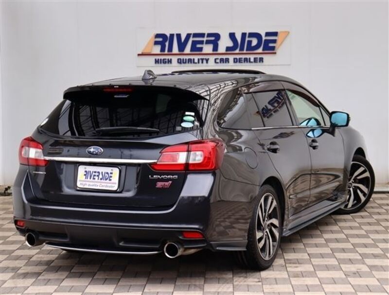 LEVORG
