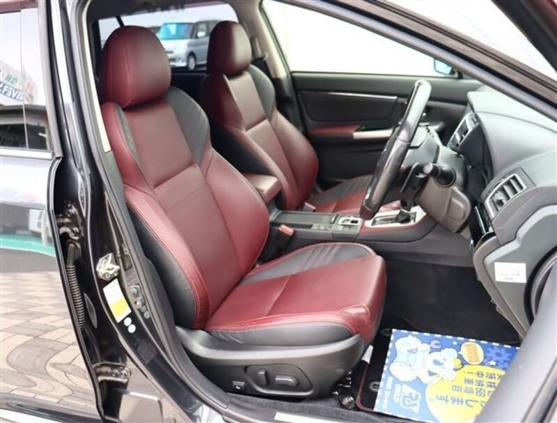 LEVORG