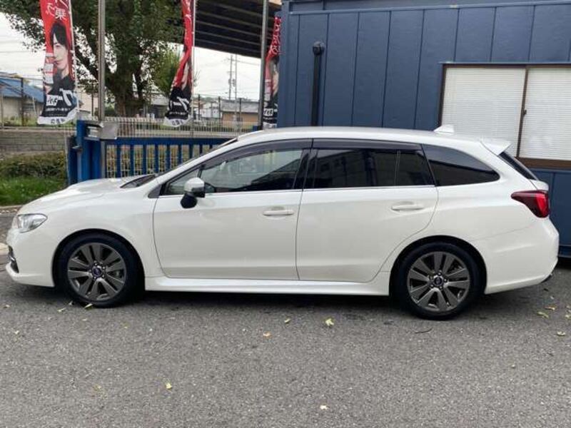 LEVORG