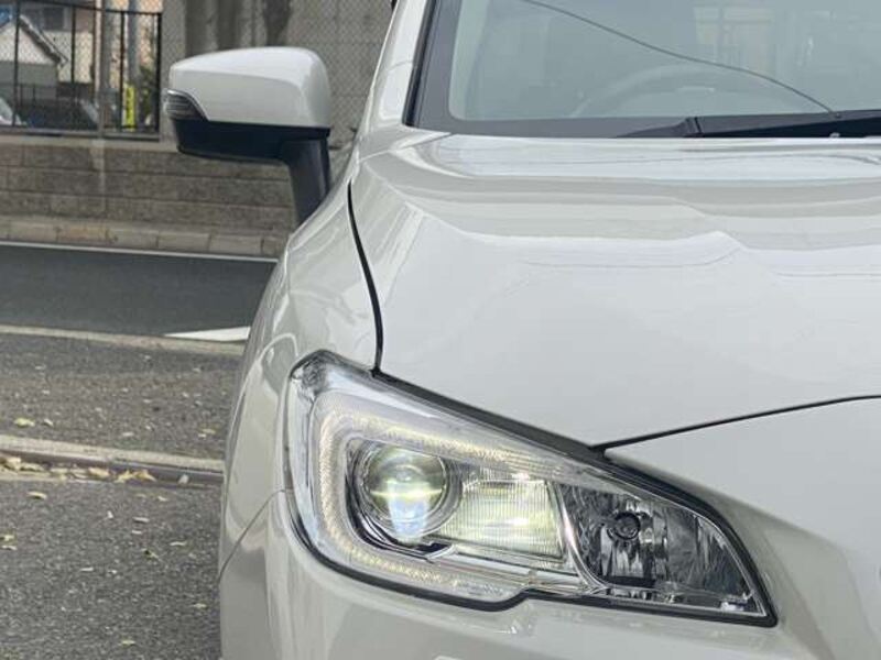 LEVORG