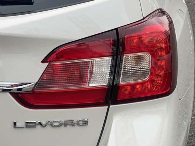 LEVORG