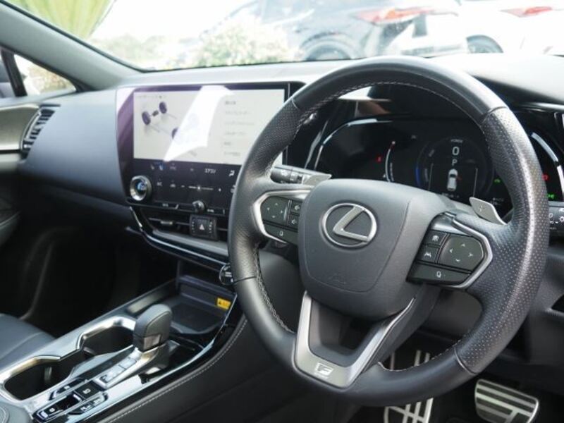 NX