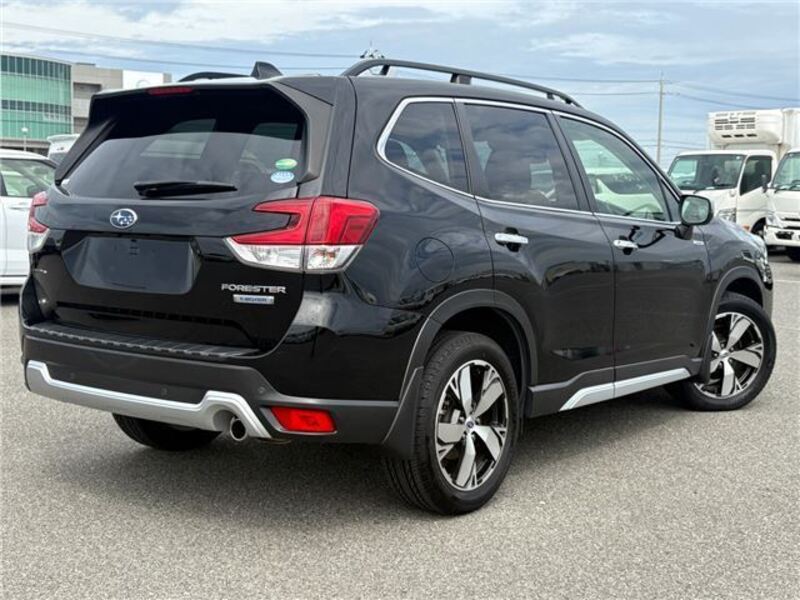 FORESTER