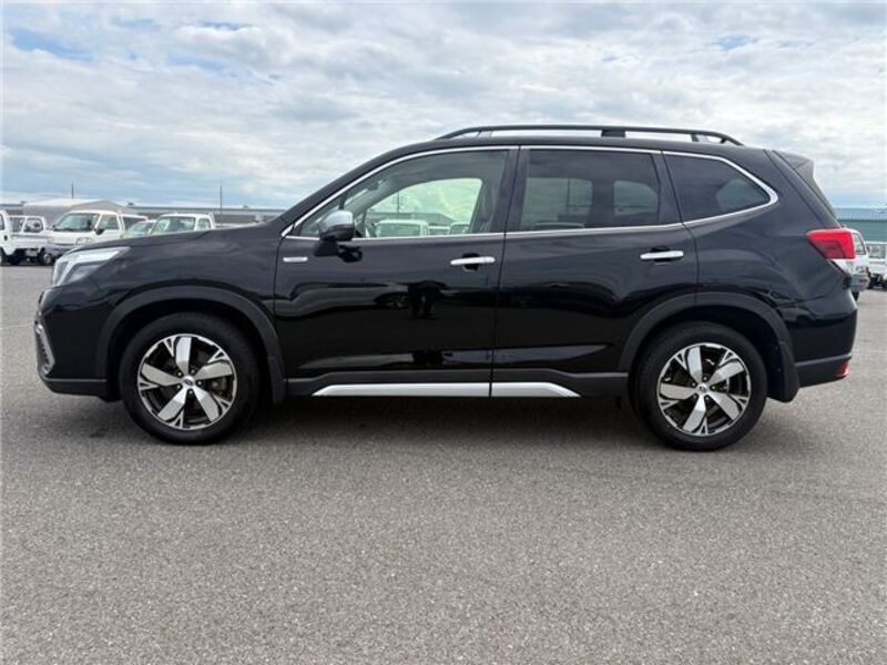 FORESTER