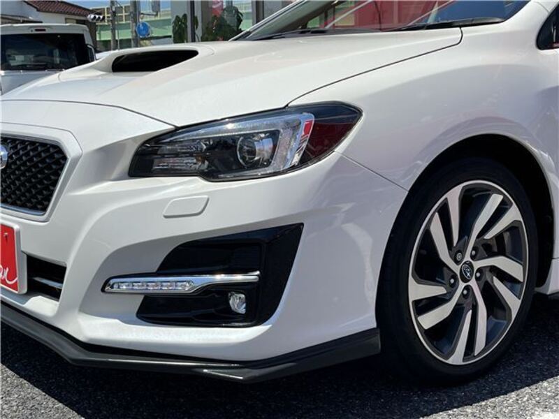 LEVORG