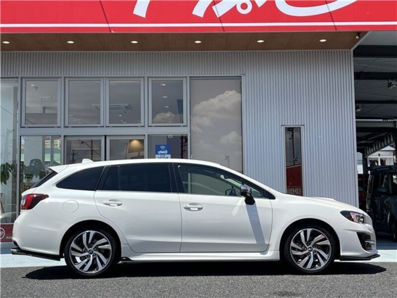 LEVORG