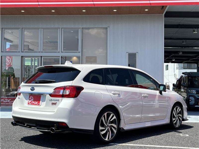 LEVORG