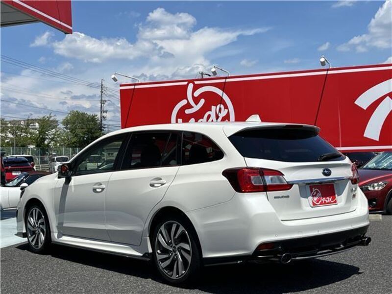 LEVORG