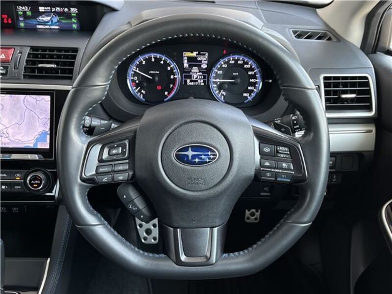 LEVORG