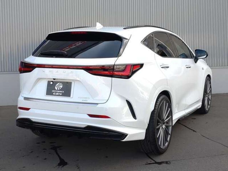 NX