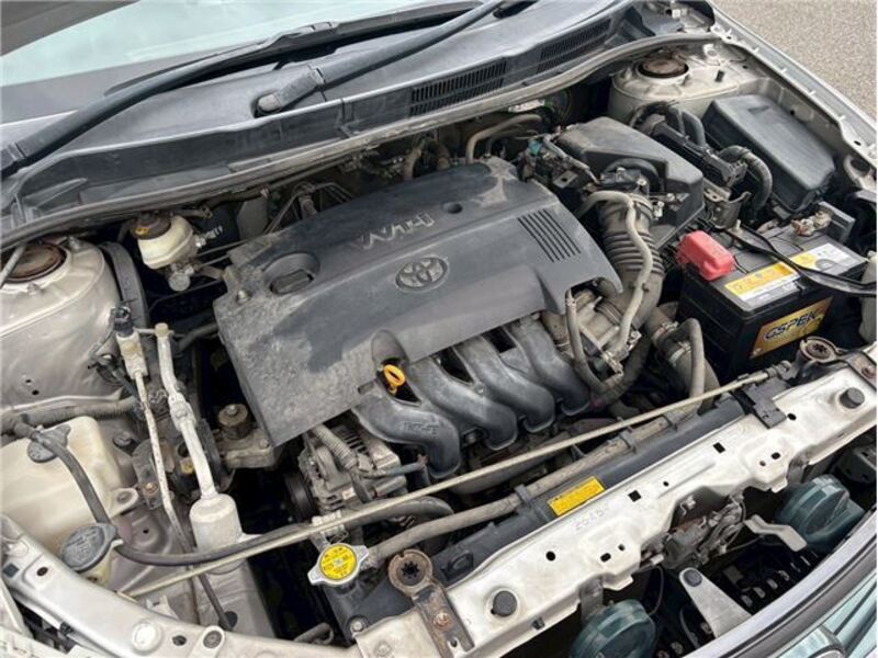 COROLLA FIELDER