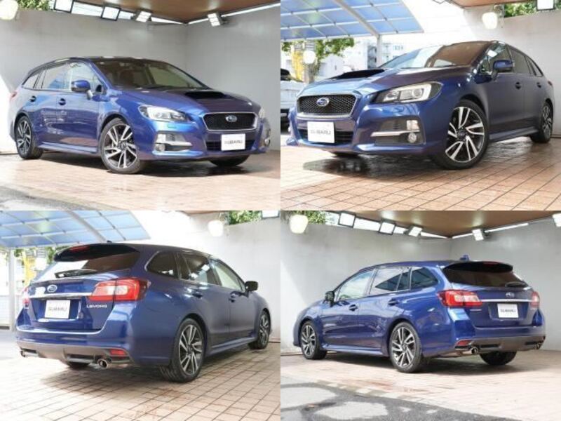 LEVORG