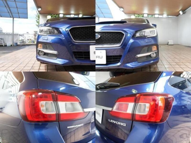 LEVORG