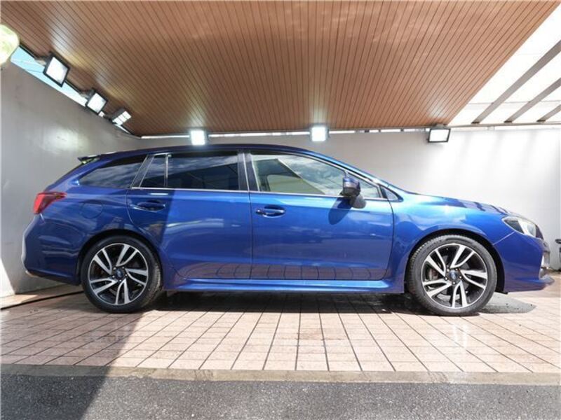 LEVORG