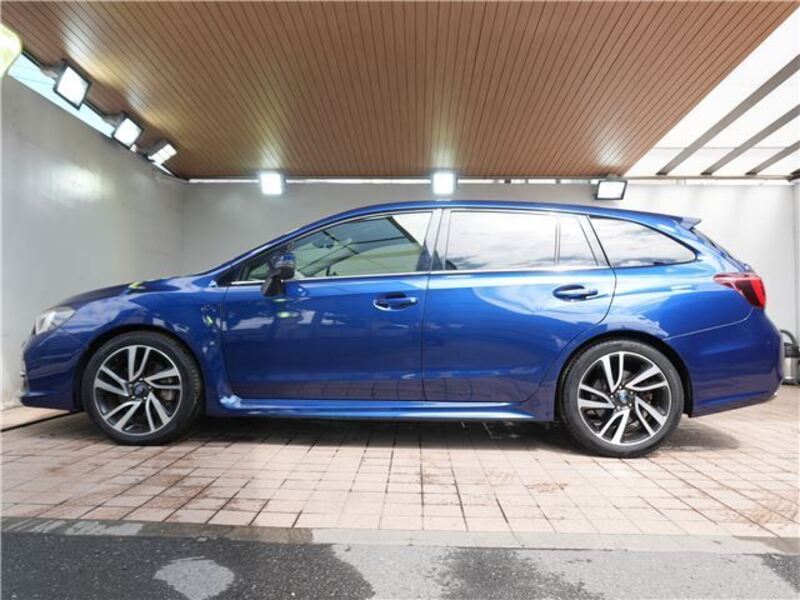 LEVORG
