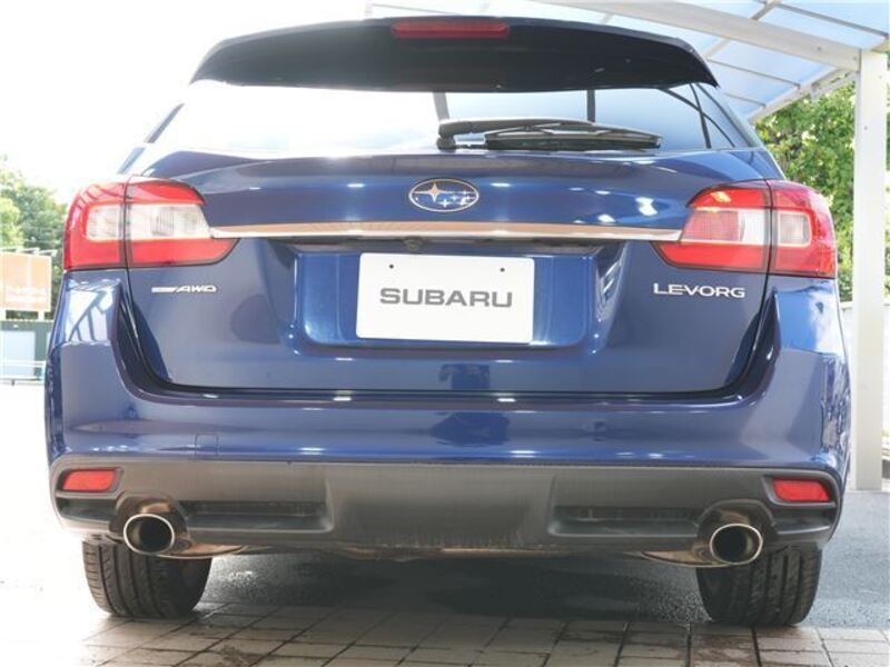 LEVORG