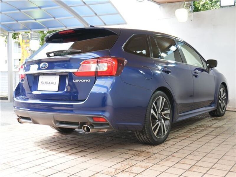 LEVORG