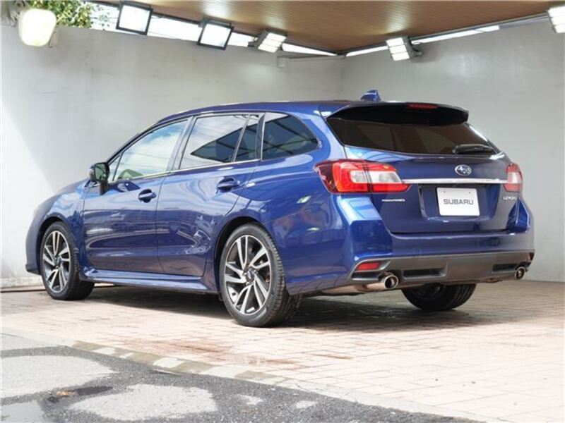 LEVORG