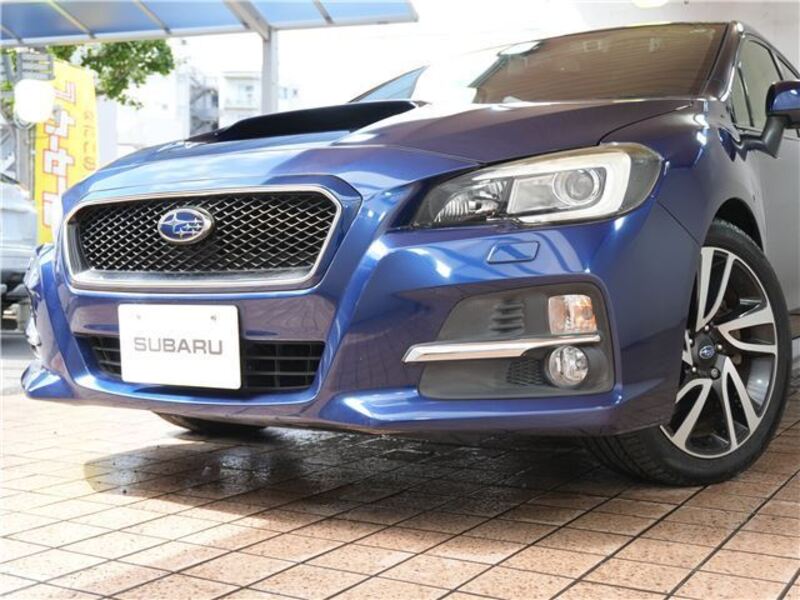 LEVORG