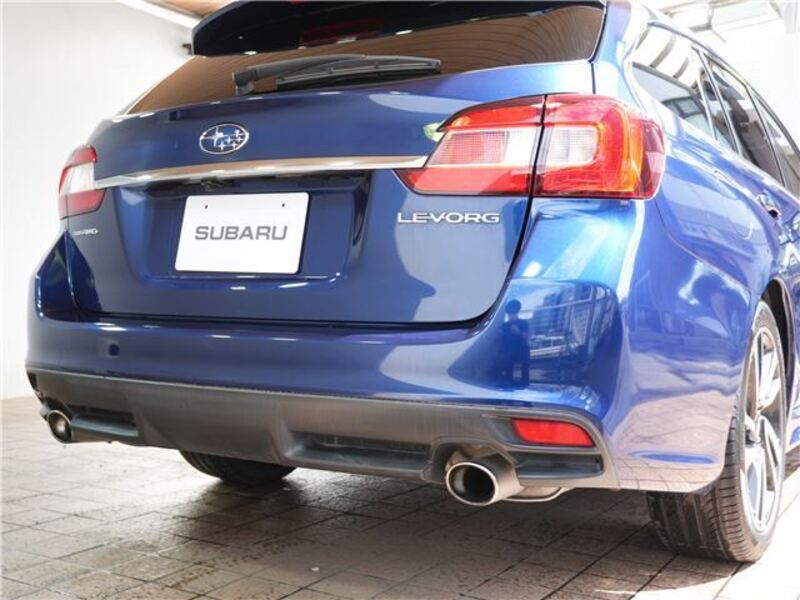 LEVORG