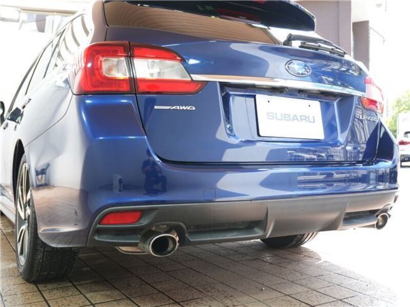LEVORG