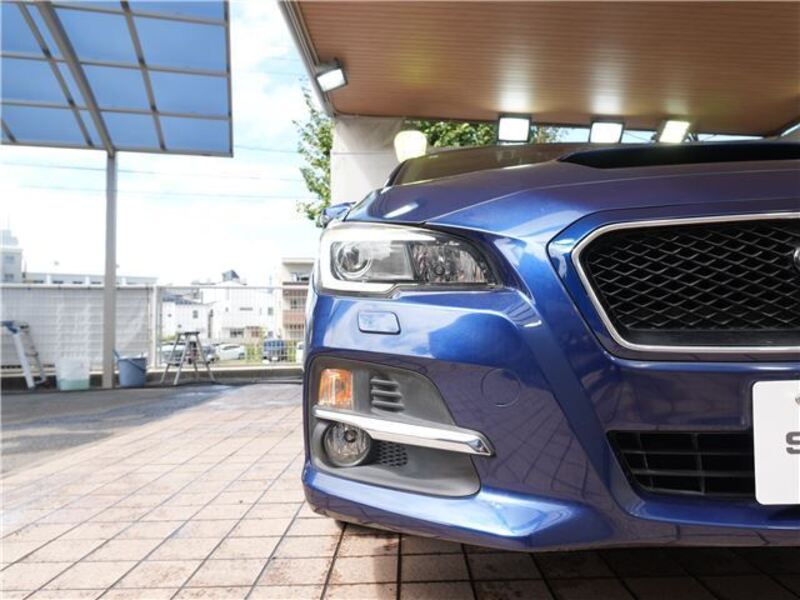 LEVORG