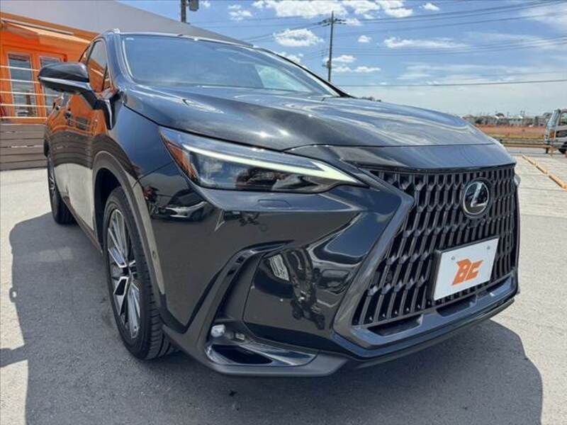 NX