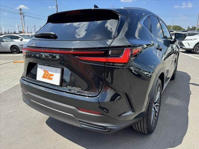 NX