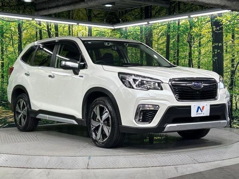 FORESTER