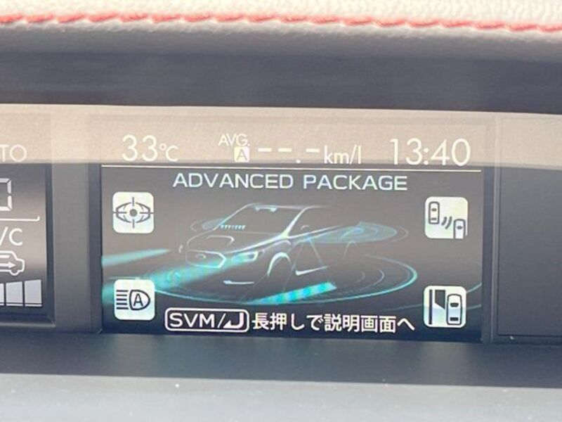 LEVORG