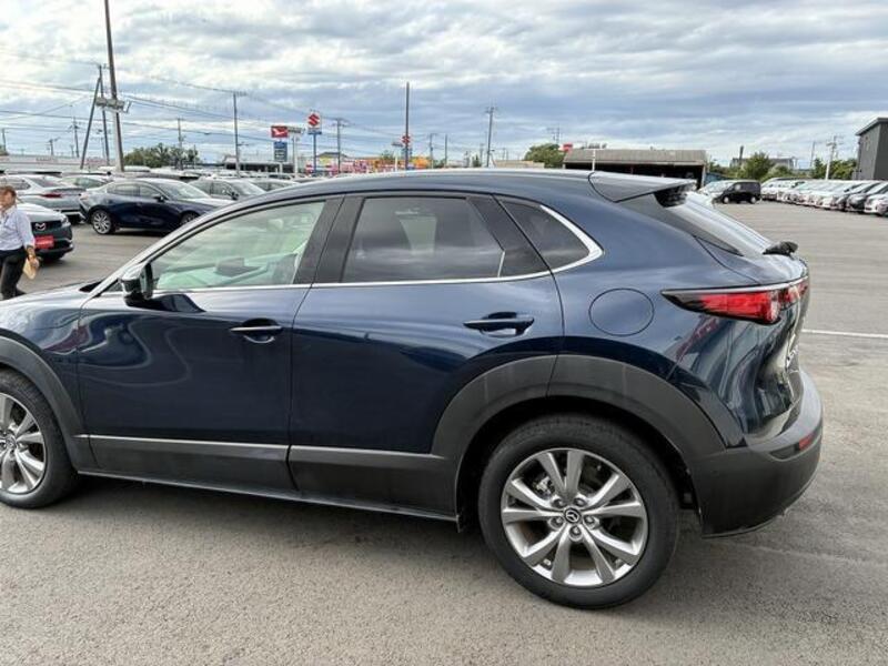 CX-30
