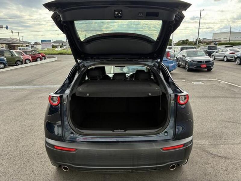 CX-30