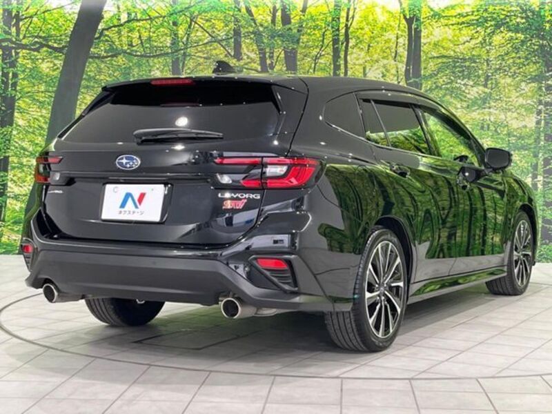 LEVORG