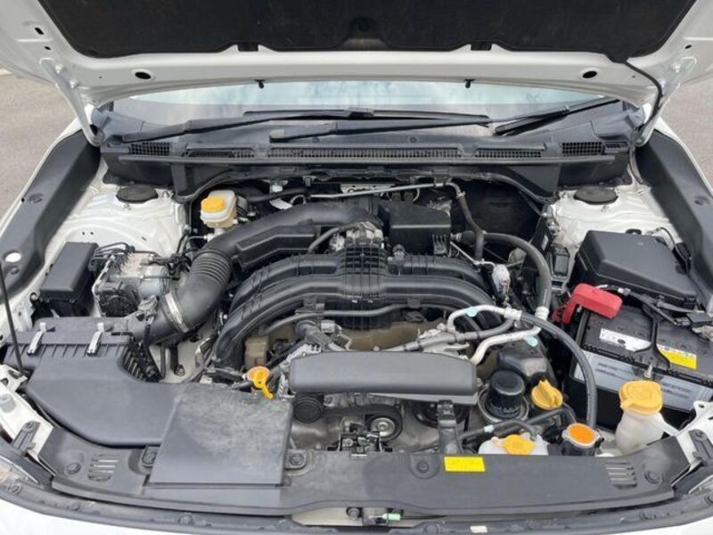 IMPREZA SPORT