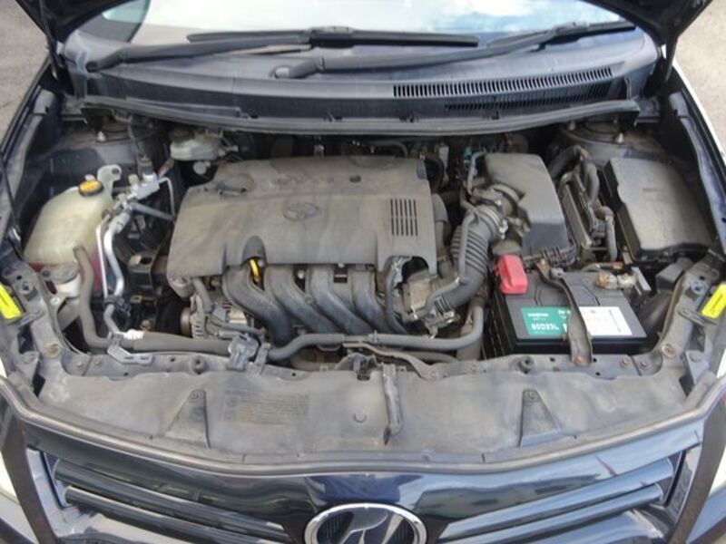 AURIS